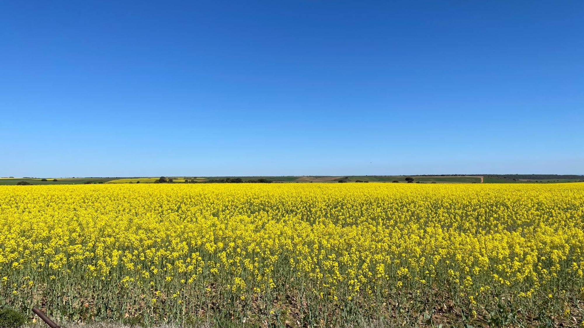 Los Cipreses De Mesones Mesones  Екстер'єр фото